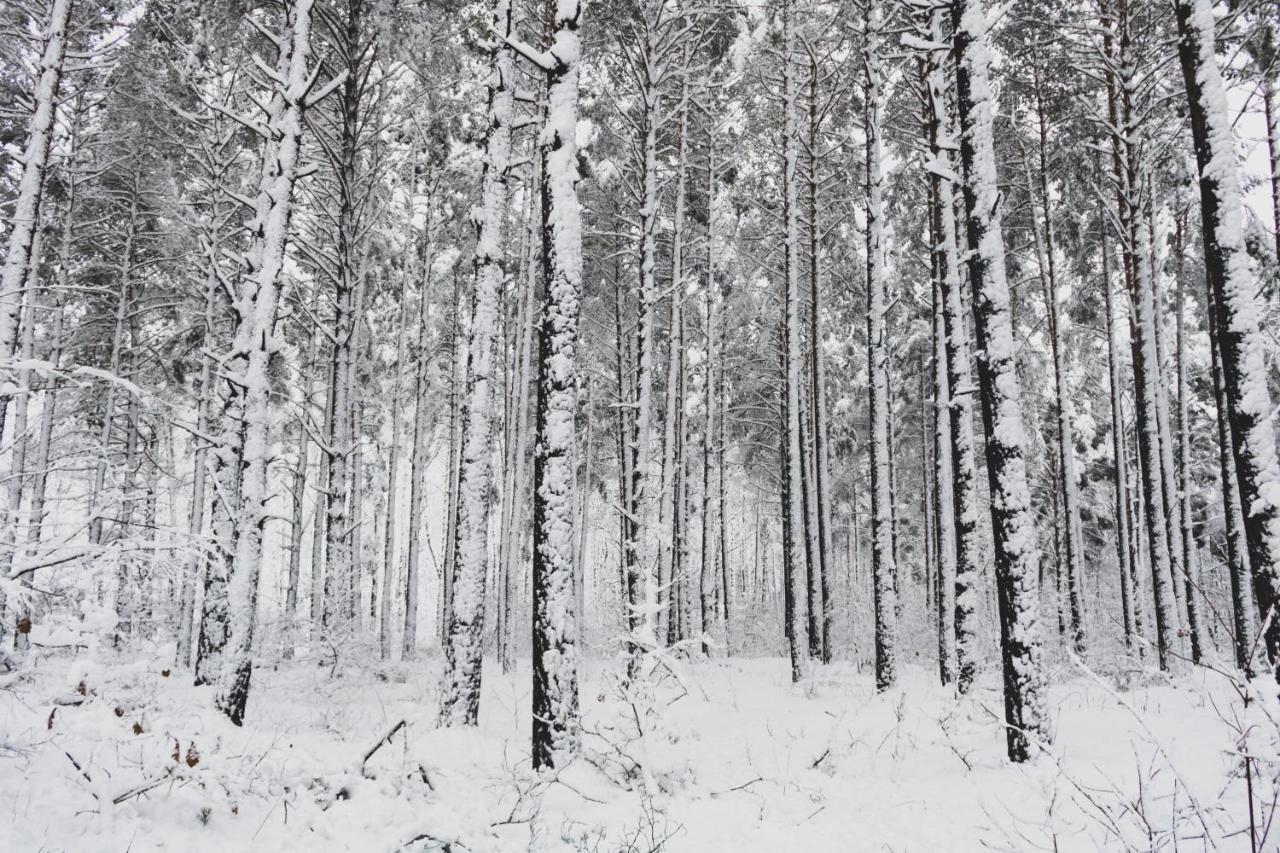 Jarzebinowa - Dom Do Wynajecia Na Podlasiu Luka ภายนอก รูปภาพ