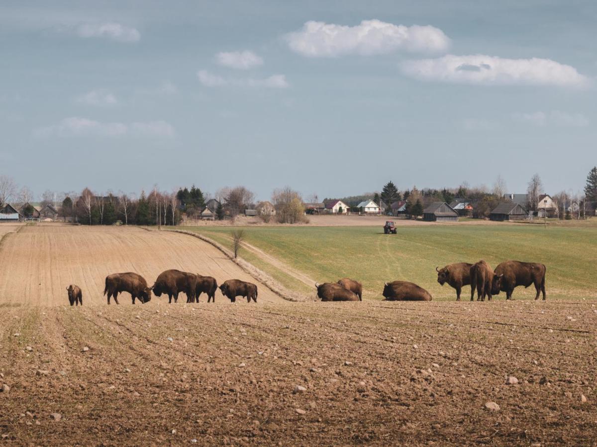 Jarzebinowa - Dom Do Wynajecia Na Podlasiu Luka ภายนอก รูปภาพ